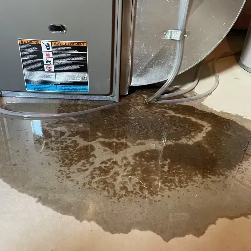 Appliance Leak Cleanup in Bloomfield Hills, MI